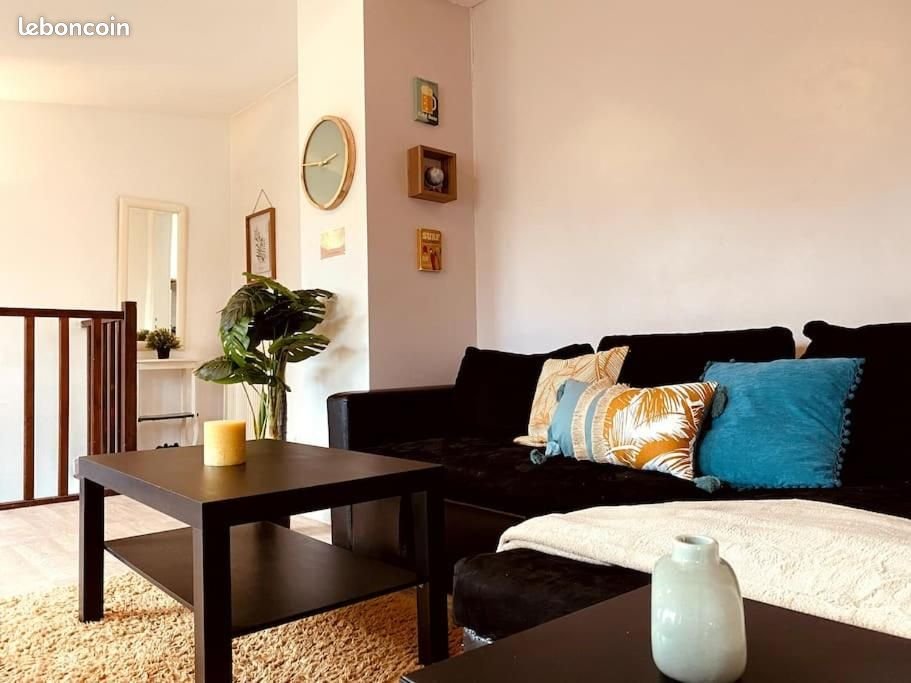 Appartement à louer, 40m², Villejuif