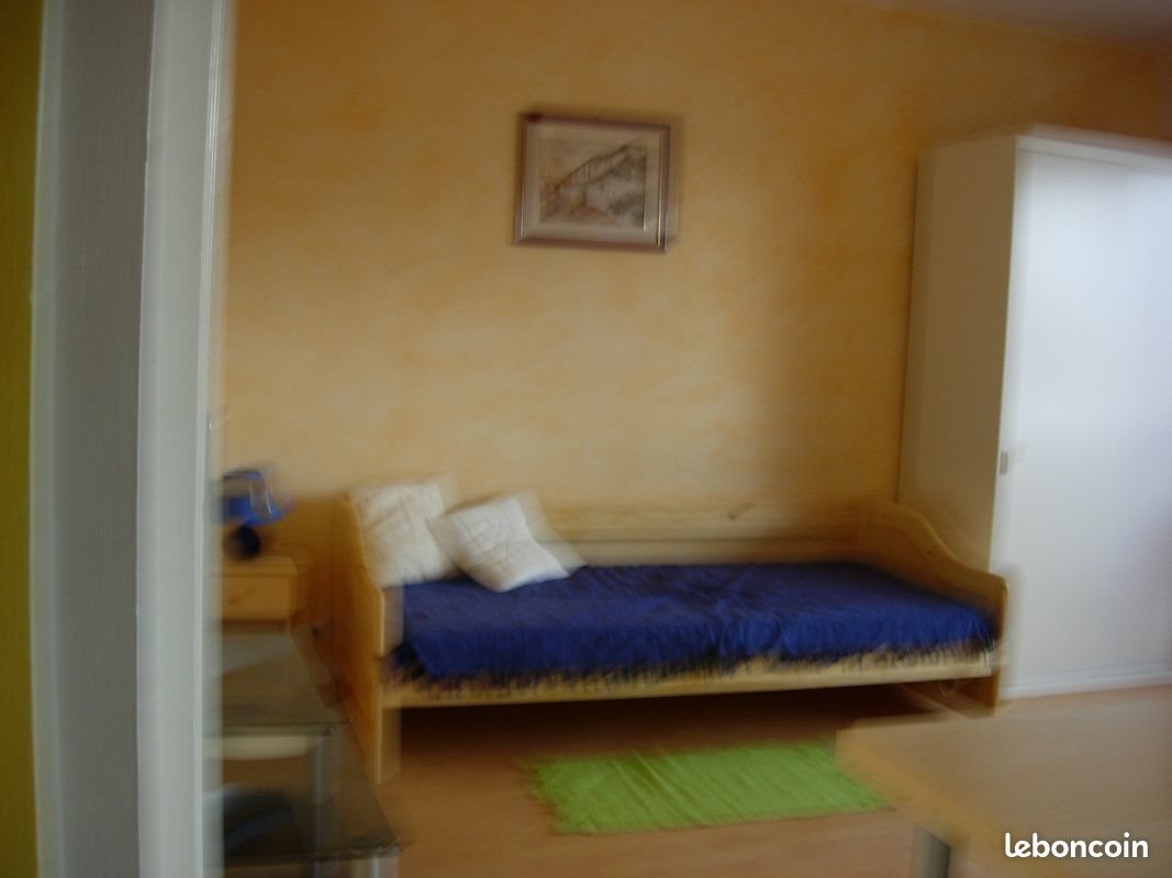 Appartement à louer, 26m², Saint-Etienne