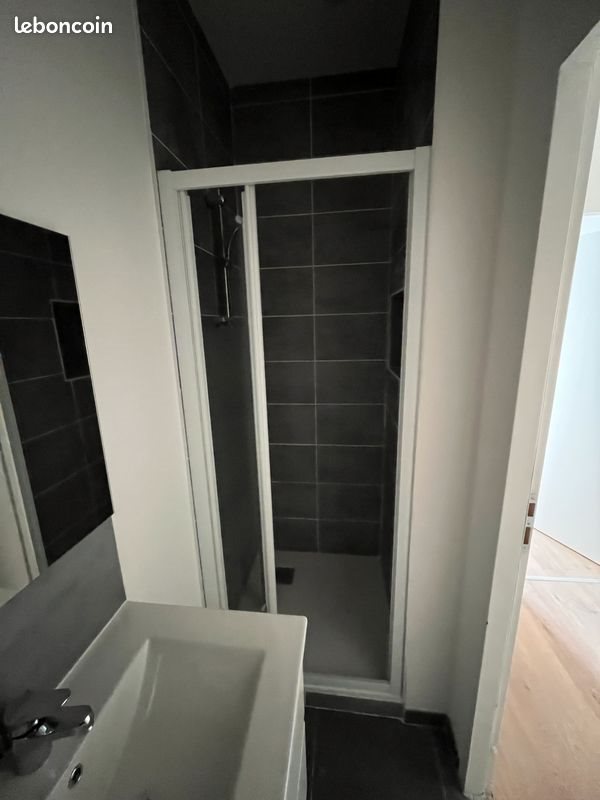 Appartement à louer, 30m², Saint-Étienne