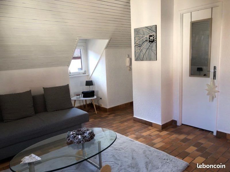 Appartement à louer, 25m², Colmar