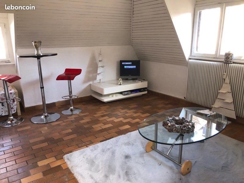 Appartement à louer, 25m², Colmar