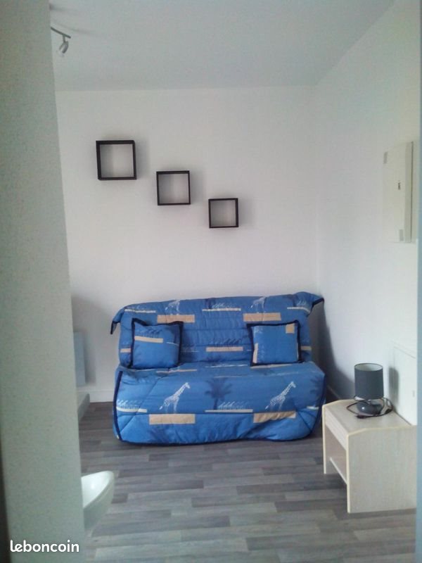 Appartement à louer, 20m², Saint-Étienne