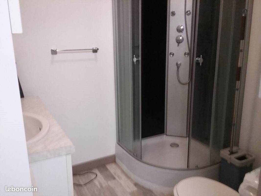 Appartement à louer, 24m², Roanne