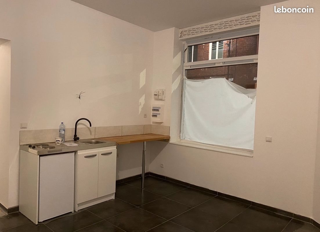 Appartement à louer, 60m², Tourcoing