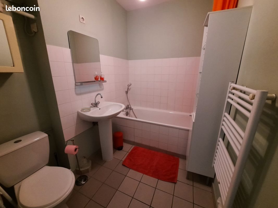 Appartement à louer, 35m², Saint-Etienne