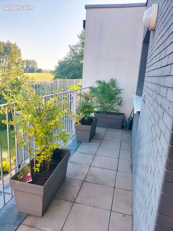 Appartement à vendre, 36m², Truchtersheim