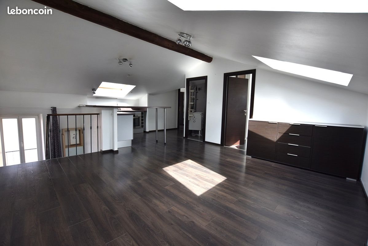 Appartement à louer, 50m², Nancy