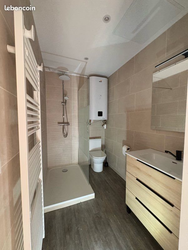 Appartement à louer, 30m², Saint-Étienne