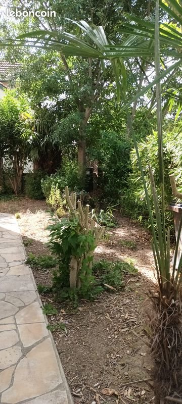 Maison à vendre, 100m², Toulouse