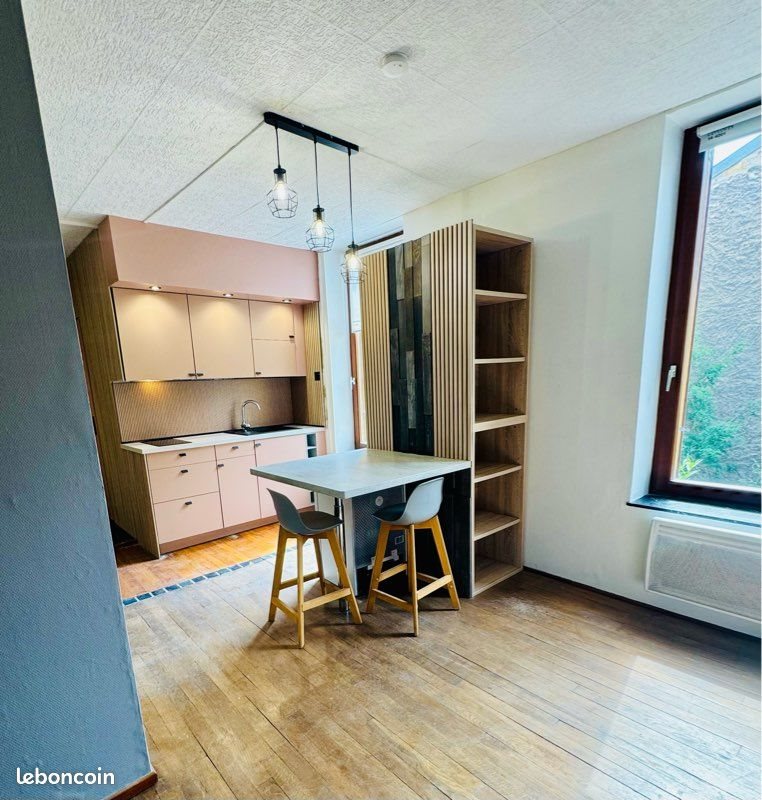 Appartement à louer, 30m², Nancy