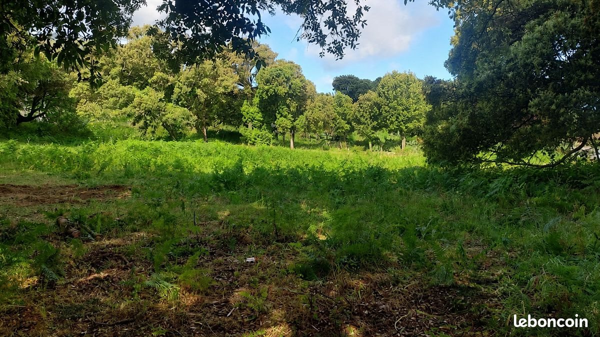Maison à vendre, 90m², Ajaccio