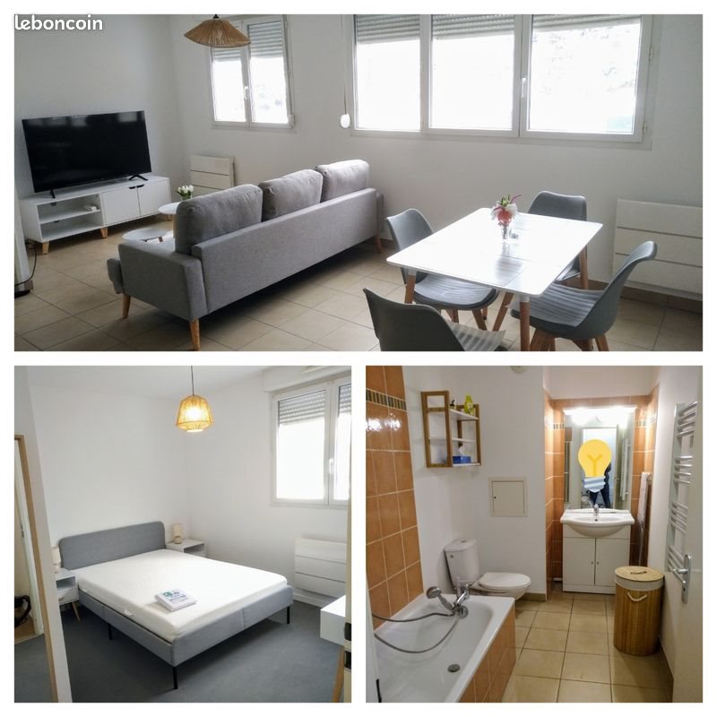 Appartement à louer, 45m², Saint-Etienne