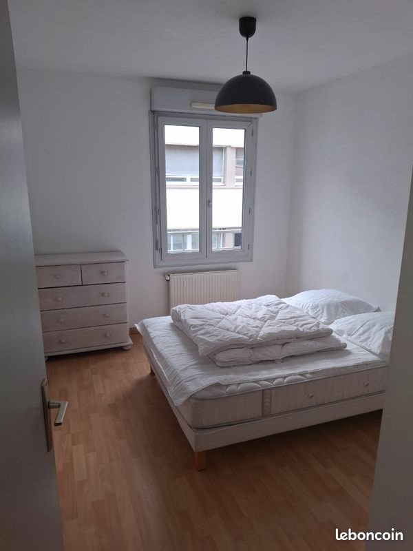 Appartement à louer, 54m², Villeurbanne