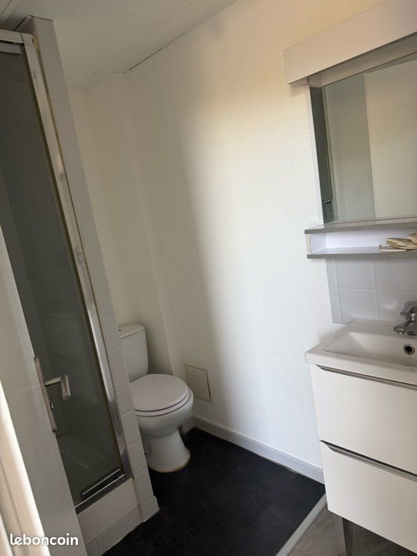 Appartement à louer, 22m², Nancy