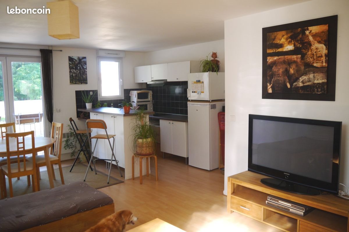 Appartement à louer, 50m², Saint-Michel-sur-Orge