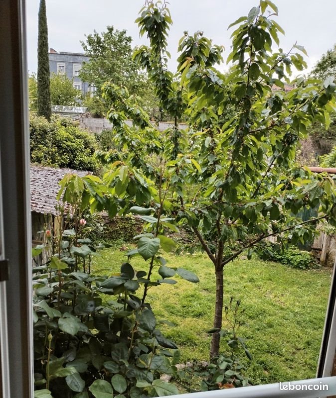 Maison à vendre, 300m², Mazamet