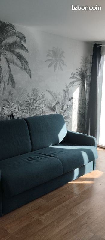 Appartement à louer, 20m², Angers