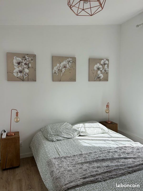 Maison à louer, 40m², Mont-près-Chambord
