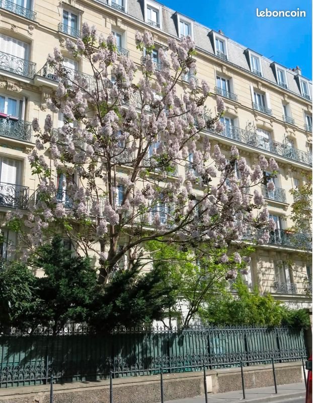 Appartement à louer, 47m², Colombes