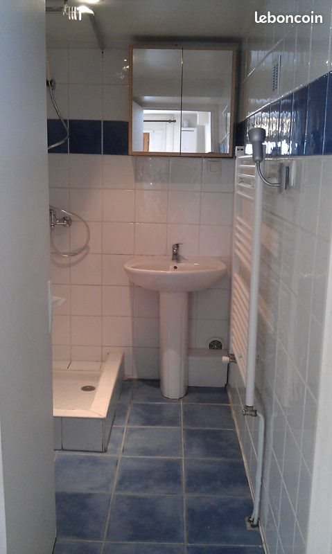 Appartement à louer, 30m², Saint-Etienne