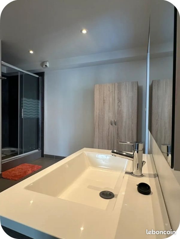 Appartement à louer, 56m², Le Puy-en-Velay