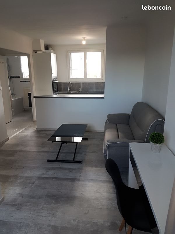 Appartement à louer, 30m², Fleury-les-Aubrais