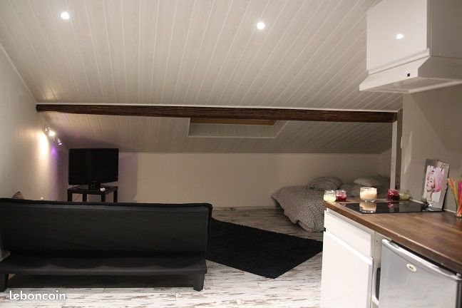 Appartement à louer, 30m², Nancy
