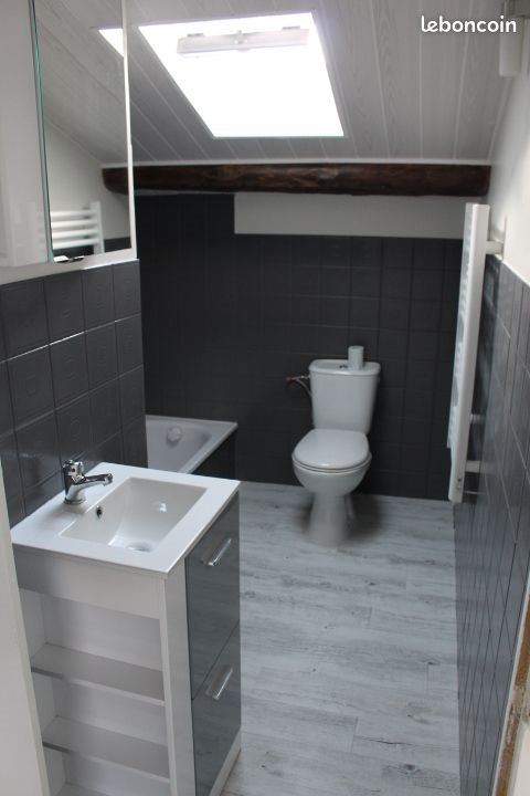 Appartement à louer, 30m², Nancy