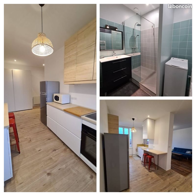 Appartement à louer, 53m², Lyon 8ème