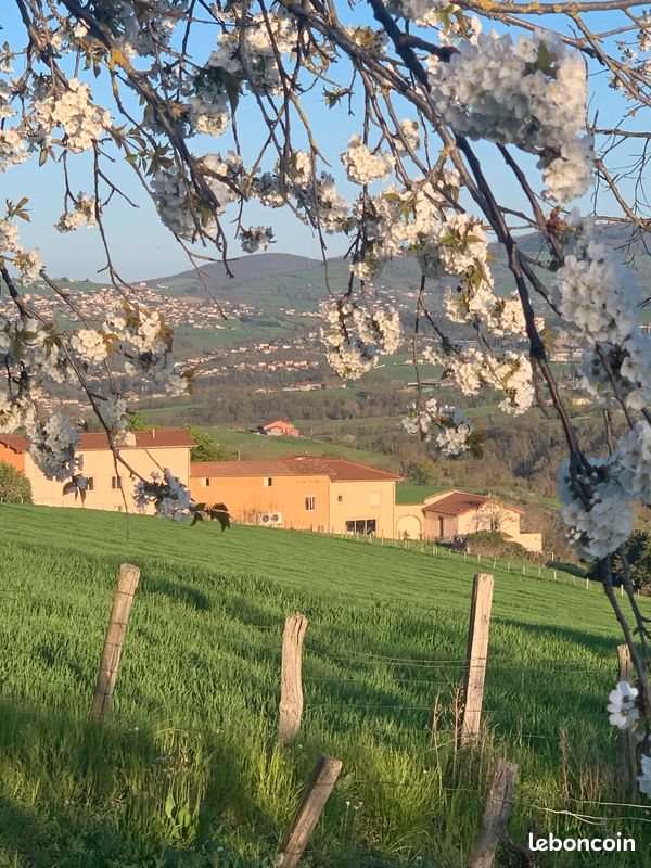 Appartement à louer, 60m², Savigny