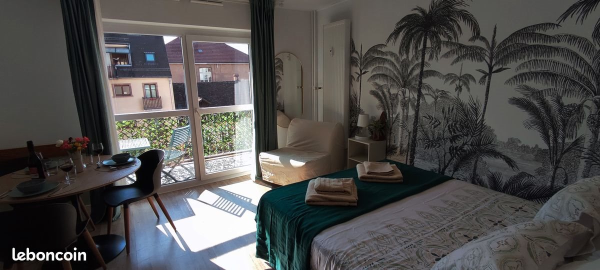 Appartement à vendre, 25m², Strasbourg