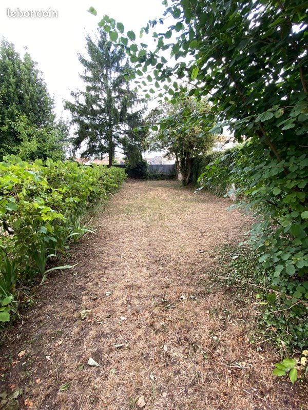 Maison à louer, 60m², Celles-sur-Belle