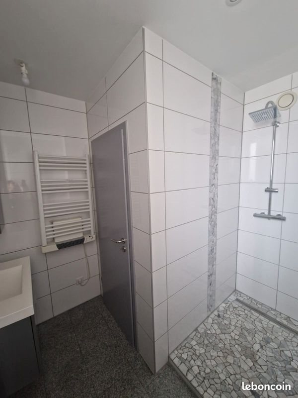 Appartement à louer, 55m², Brunstatt