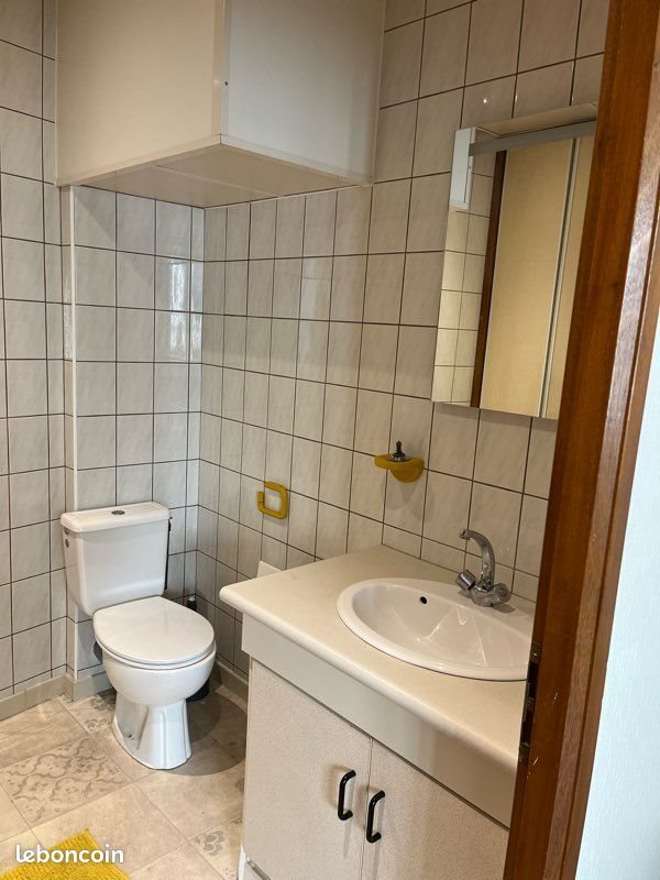 Appartement à louer, 28m², Nancy