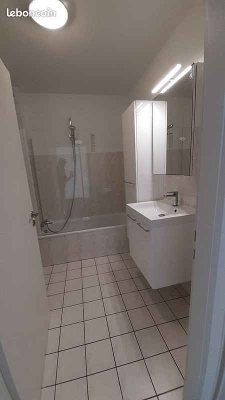 Appartement à louer, 51m², Haguenau