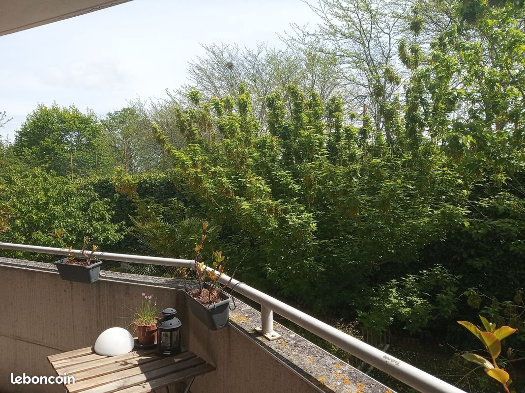 Appartement à louer, 33m², Toulouse