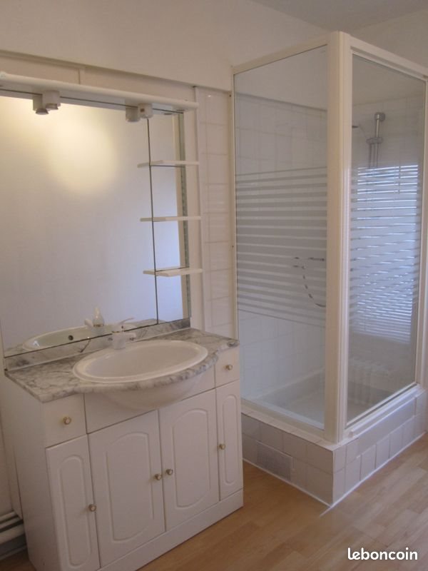 Appartement à louer, 56m², Angers