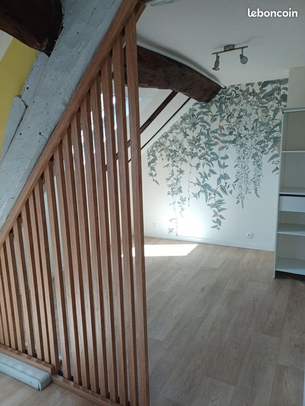 Appartement à louer, 23m², Chaumont
