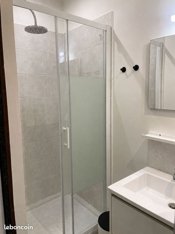 Appartement à louer, 30m², Villeurbanne