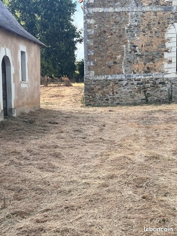 Maison à louer, 100m², Segré