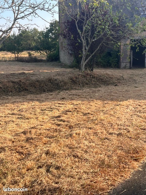 Maison à louer, 100m², Segré
