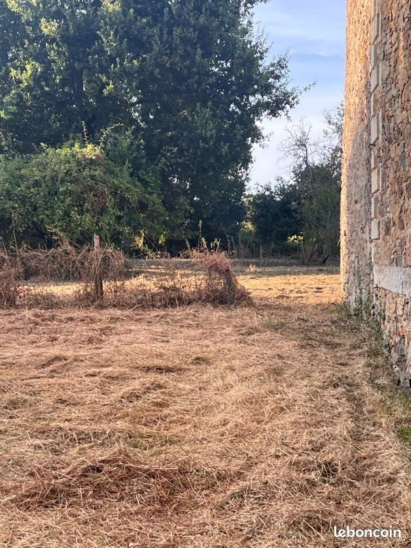 Maison à louer, 100m², Segré