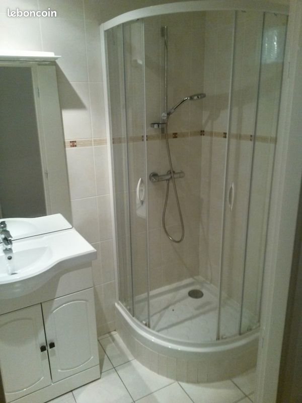 Appartement à louer, 50m², Nancy