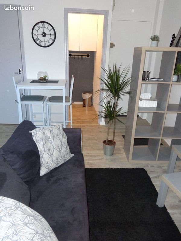 Appartement à louer, 22m², Rodez