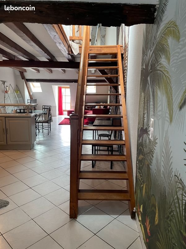Appartement à louer, 50m², Tours