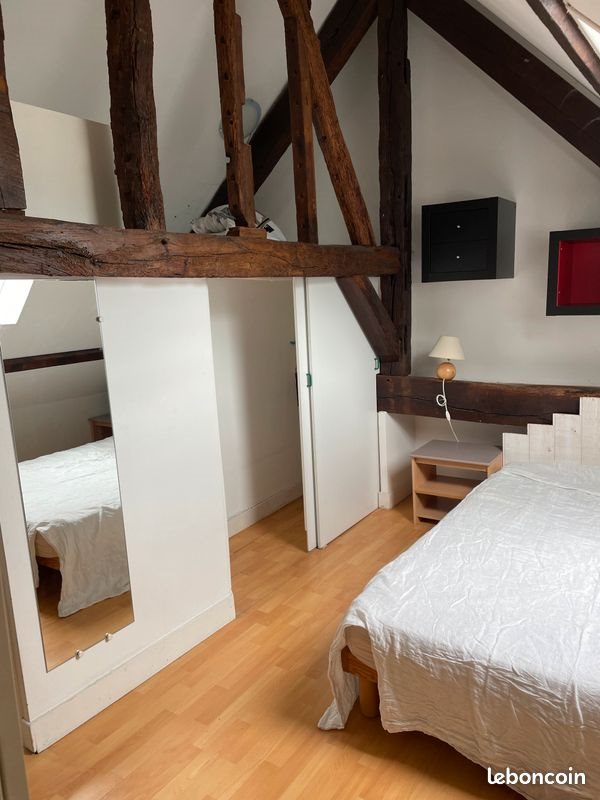 Appartement à louer, 50m², Tours