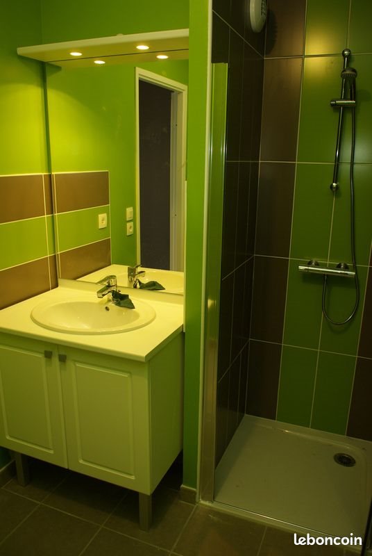 Appartement à louer, 44m², Tours