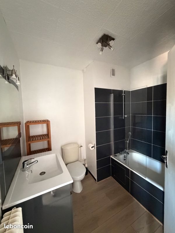 Appartement à louer, 29m², Saint-Etienne