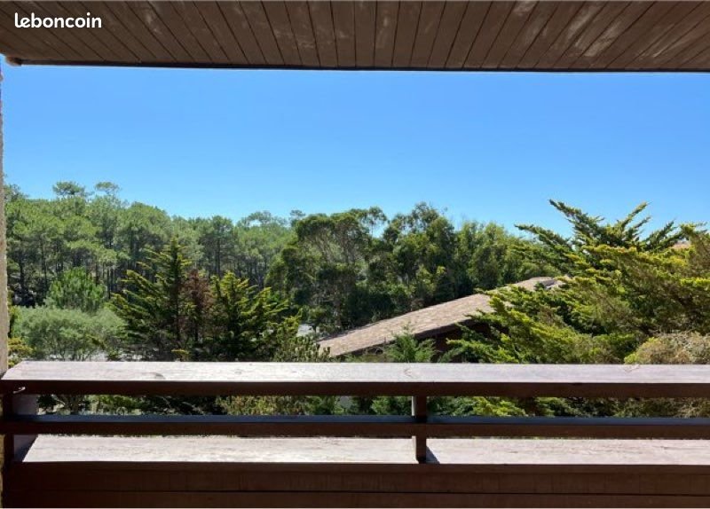 Appartement à louer, 36m², Seignosse