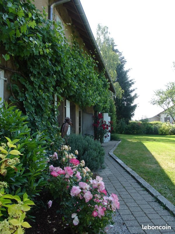 Appartement à louer, 21m², Bavilliers